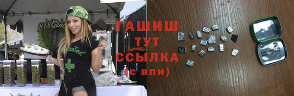 индика Аркадак