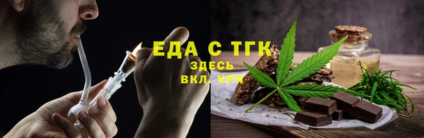 индика Аркадак