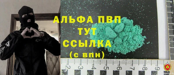 индика Аркадак