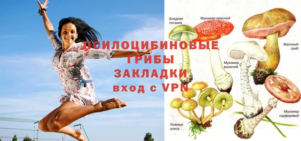 винт Арсеньев