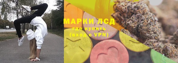 индика Аркадак