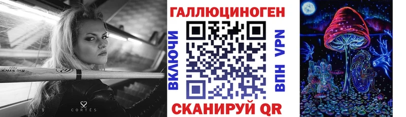 блэк спрут как зайти  Иннополис  Псилоцибиновые грибы Psilocybe 